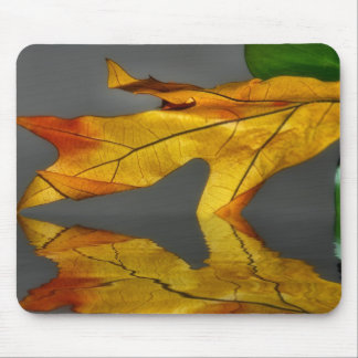 Lövreflexion Mousepad Musmatta