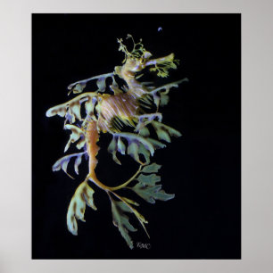 Lövrik Seadragon & Mysid räka Poster
