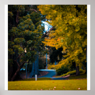 Lövrunda sväng poster