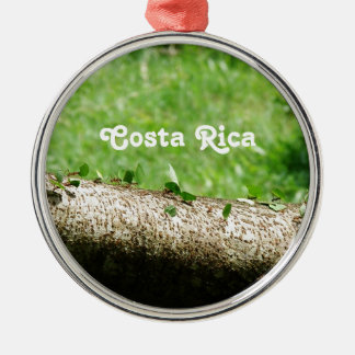 Lövskäraremyror i Costa Rica Julgransprydnad Metall