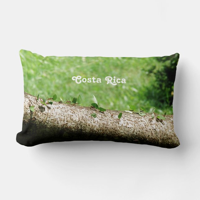 Lövskäraremyror i Costa Rica Lumbarkudde (Framsida)