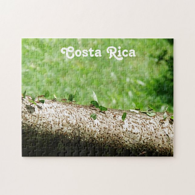 Lövskäraremyror i Costa Rica Pussel (Horisontell)