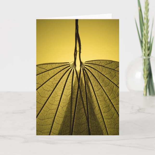 Lövskelett Kort (Framsida)