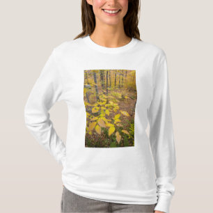Lövskog i New Hampshire USA T-shirt