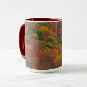 Lövskog i Randolph County, West Virginia Mugg
