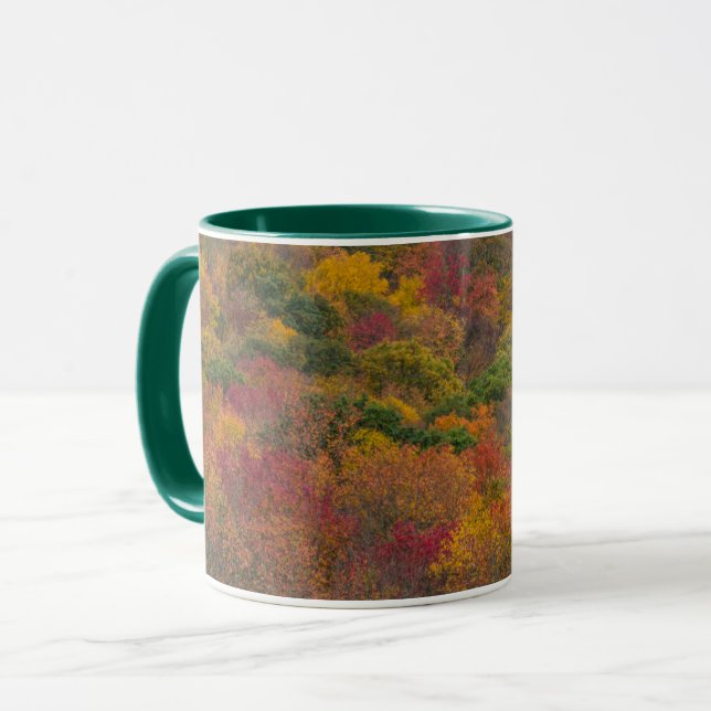 Lövskog i Randolph County, West Virginia Mugg (Framsida vänster)