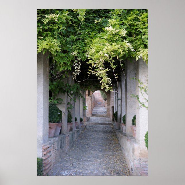 Lövverkstäckt gångväg, Spanien Poster (Framsidan)