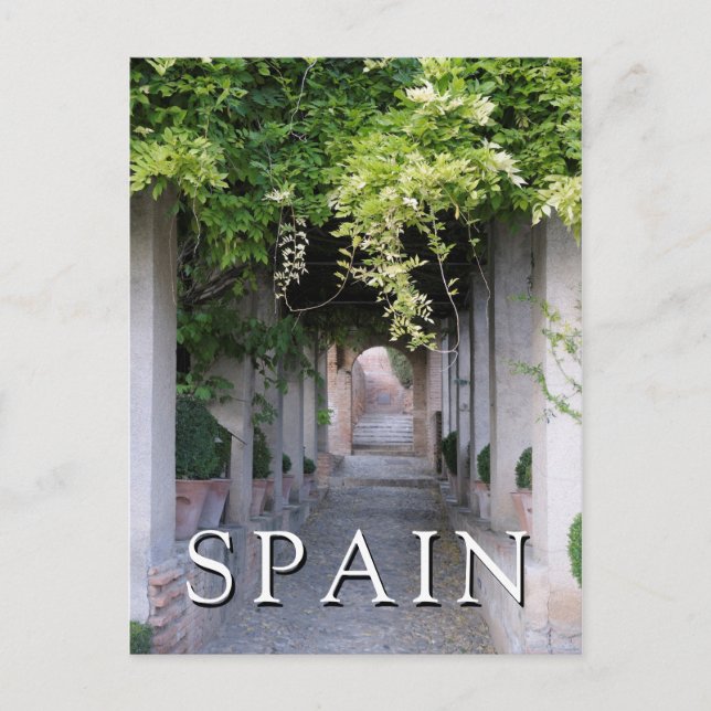 Lövverkstäckt gångväg, Spanien Vykort (Framsida)