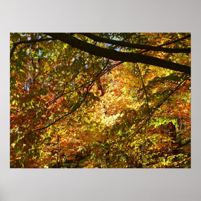 Lövverkstak I Gul Höstnatur Poster (Framsidan)