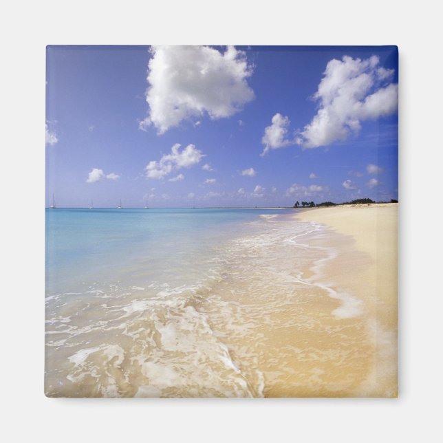 Low Bay Beach, Barbuda, Antigua Magnet (Framsidan)
