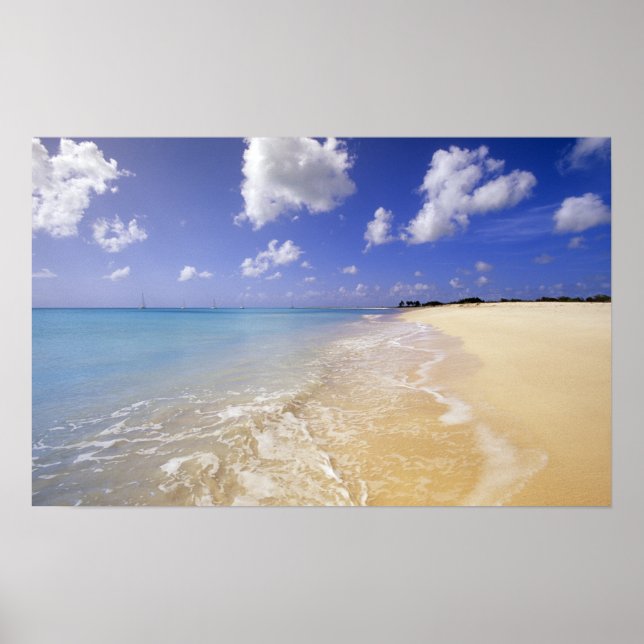 Low Bay Beach, Barbuda, Antigua Poster (Framsidan)