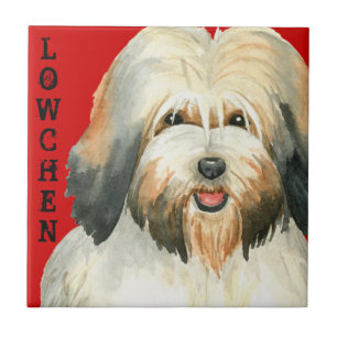 Lowchen Färg Block Kakelplatta