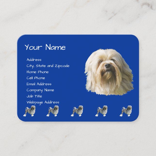 Lowchen på mörk - blått visitkort (Framsida)