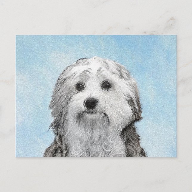 Lowchen Painting - Cute Original Hund Art Vykort (Framsida)