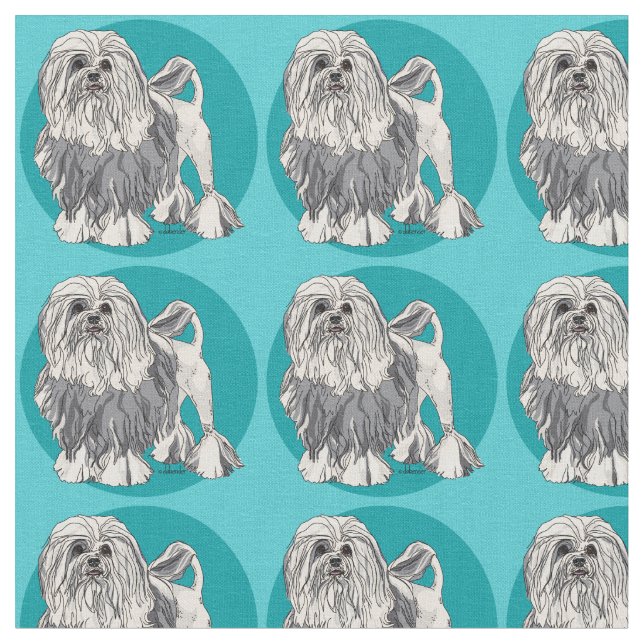 Lowchen Turcos 2 Tyg (Närbild)