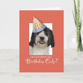 LowchenL Hund Funny Birthday Hat, Orangens bakgrun Kort