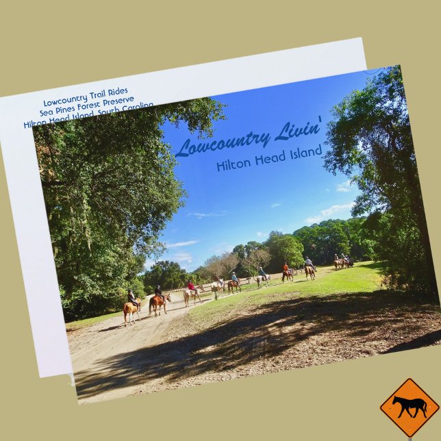 Lowcountry Horse Trail Rides Hilton Head Island SC Vykort (Skapare uppladdad)