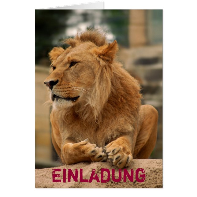 Löwe mit Punkerfrisur Hälsningskort (Framsidan)