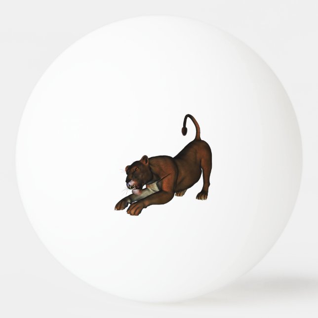 Löwe Pingisboll (Framsidan)