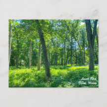 Lowell Park Dixon Illinois vykort