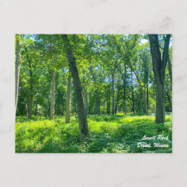 Lowell Park Dixon Illinois vykort