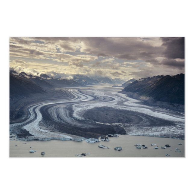 Lowellglacären rinner ut i floden Alsek i Fototryck (Framsidan)