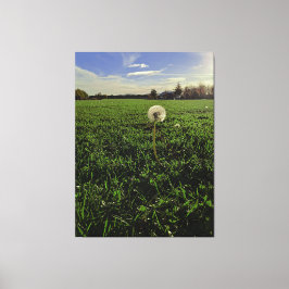 Löwenzahn Canvastryck