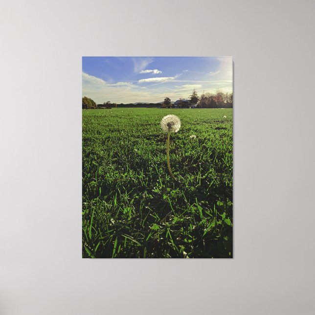 Löwenzahn Canvastryck (Framsida)