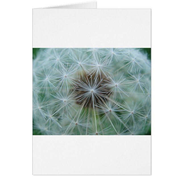 Löwenzahnmuster Hälsningskort (Framsidan)