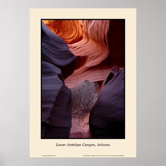 Lower Antelope Canyon Arizona Tumbleweed Southwest Poster (Framsidan)