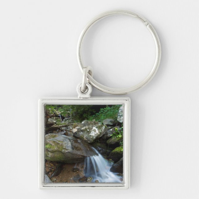 Lower Dark Hollow Falls, Shenandoah Fyrkantig Silverfärgad Nyckelring (Framsidan)