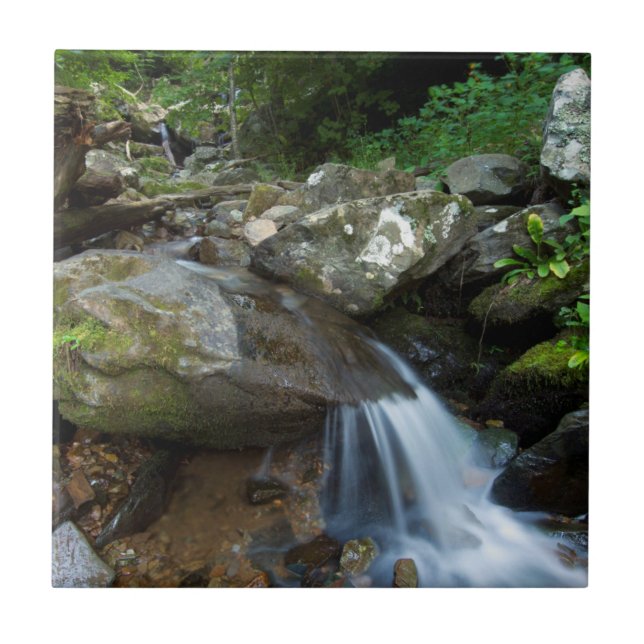 Lower Dark Hollow Falls, Shenandoah Kakelplatta (Framsidan)