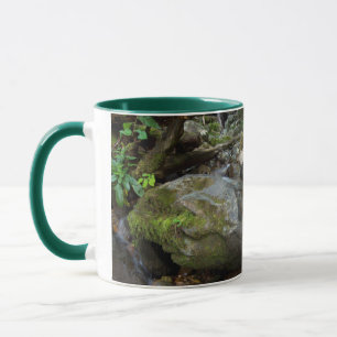 Lower Dark Hollow Falls, Shenandoah Mugg