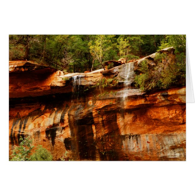 Lower Emerald Bassäng Zion National Park Utah Blan Hälsningskort (Framsidan Horizontal)