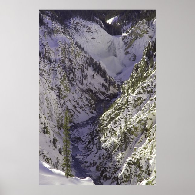 Lower Falls Grand Canyon of the Yellowstone Poster (Framsidan)
