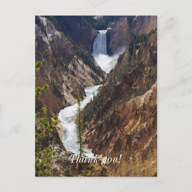 Lower Falls Yellowstone Vykort (Framsida)
