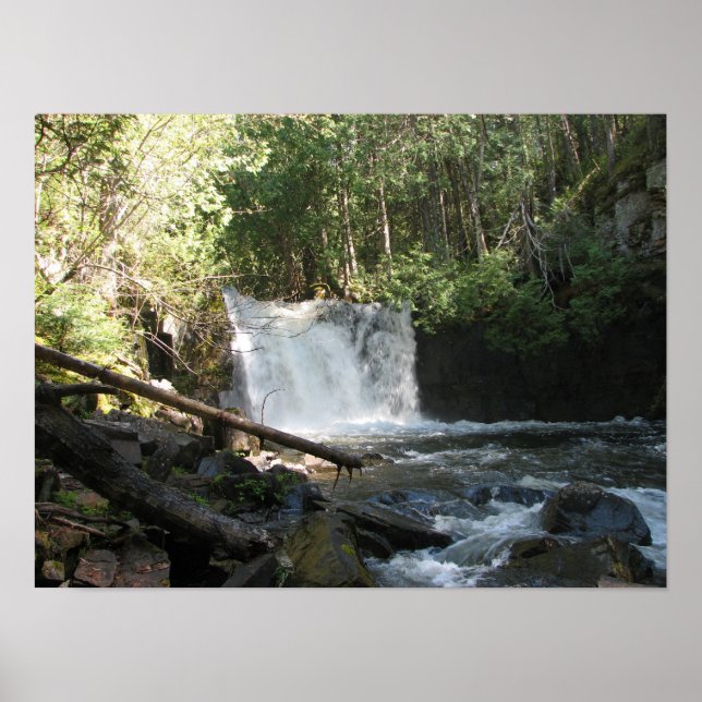 Lower Johnson Falls Poster (Framsidan)