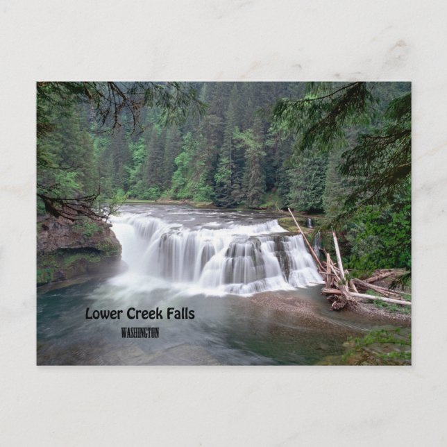 Lower Lewis Falls Washington vykort (Framsida)