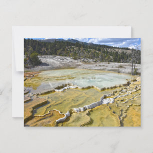 Lower Minerva Terrace, nationalparken Yellowstone Vykort