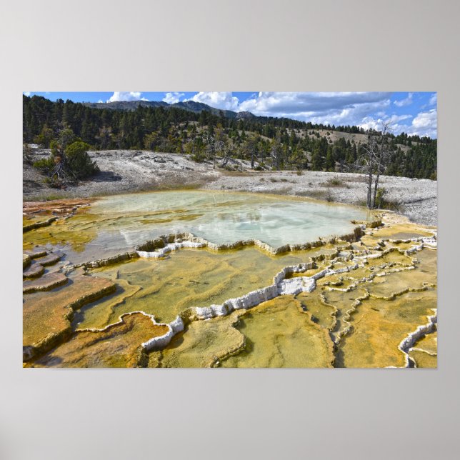 Lower Minerva Terrace, Yellowstone National Park Poster (Framsidan)