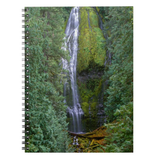 Lower Proxy Falls | Willamette National Forest Anteckningsbok (Framsidan)