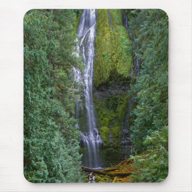 Lower Proxy Falls | Willamette National Forest Musmatta (Framsidan)