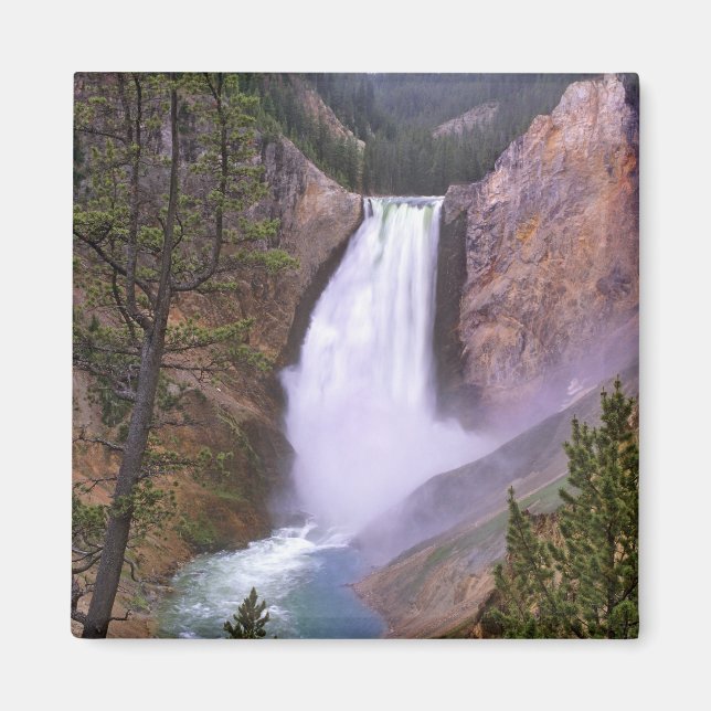 Lower Yellowstone Falls, Grand Canyon av Magnet (Framsidan)