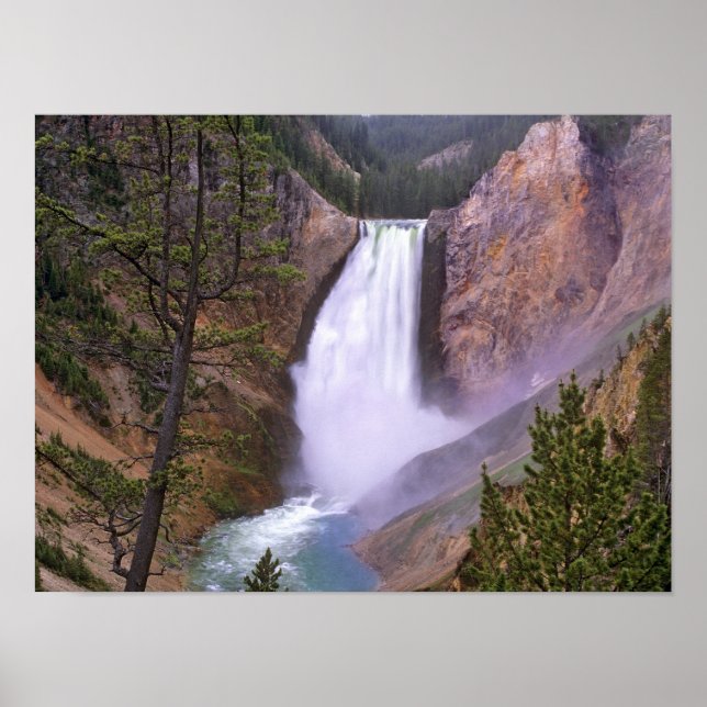 Lower Yellowstone Falls, Grand Canyon av Poster (Framsidan)