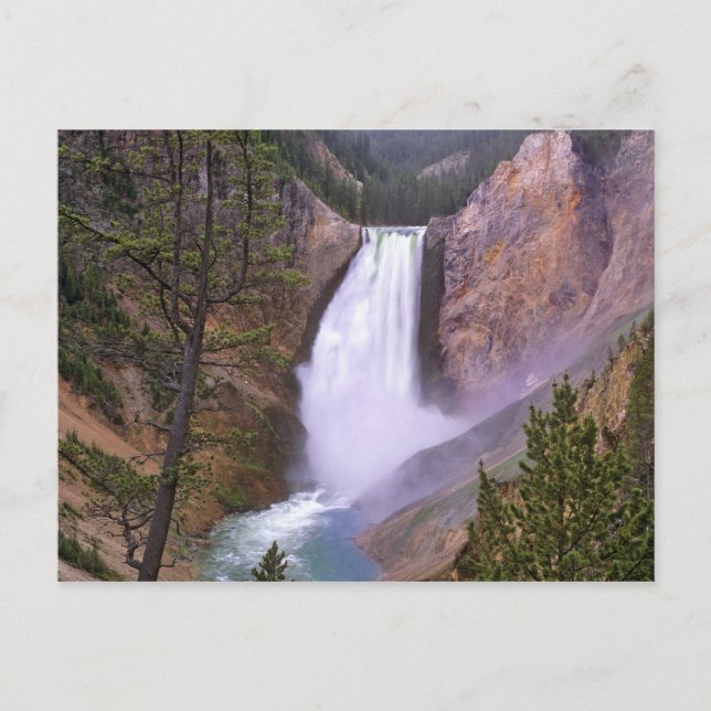 Lower Yellowstone Falls, Grand Canyon av Vykort (Framsida)