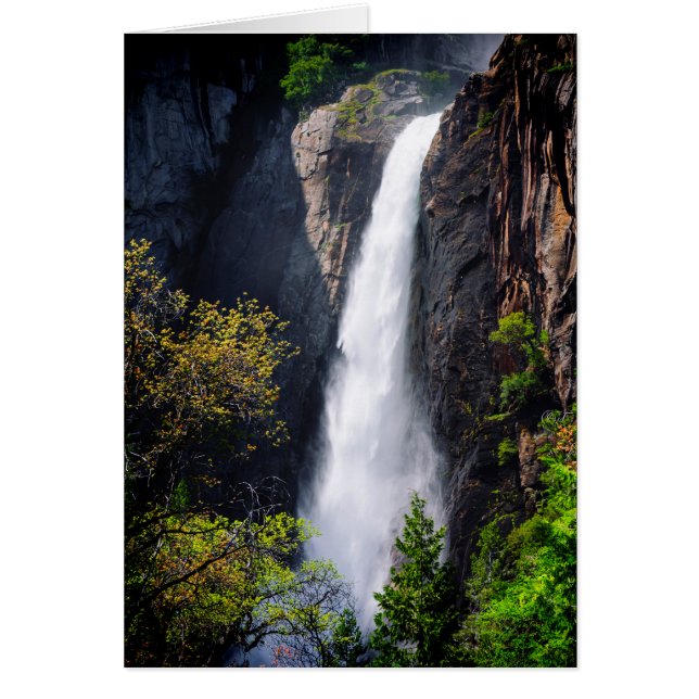 Lower Yosemite Falls kaskaderar Hälsningskort (Framsidan)