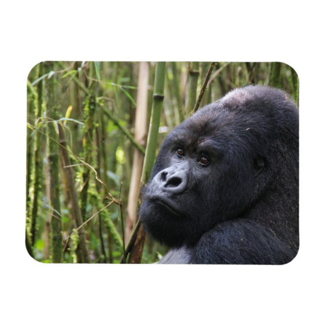 Lowland Gorilla Flexible Magnet (Horisontell)