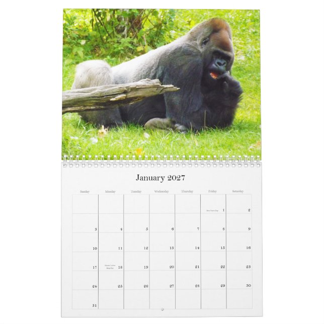 Lowlandgorillor av den Kansas City zooen Kalender (Jan 2027)
