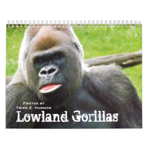 Lowlandgorillor av den Kansas City zooen Kalender