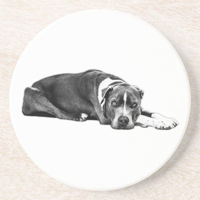 Loyal Assion Pitbull Mix Art Underlägg (Framsidan)